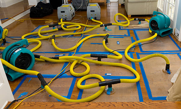 Professional Crawl Space Water Removal technician working in Larchmont, NY